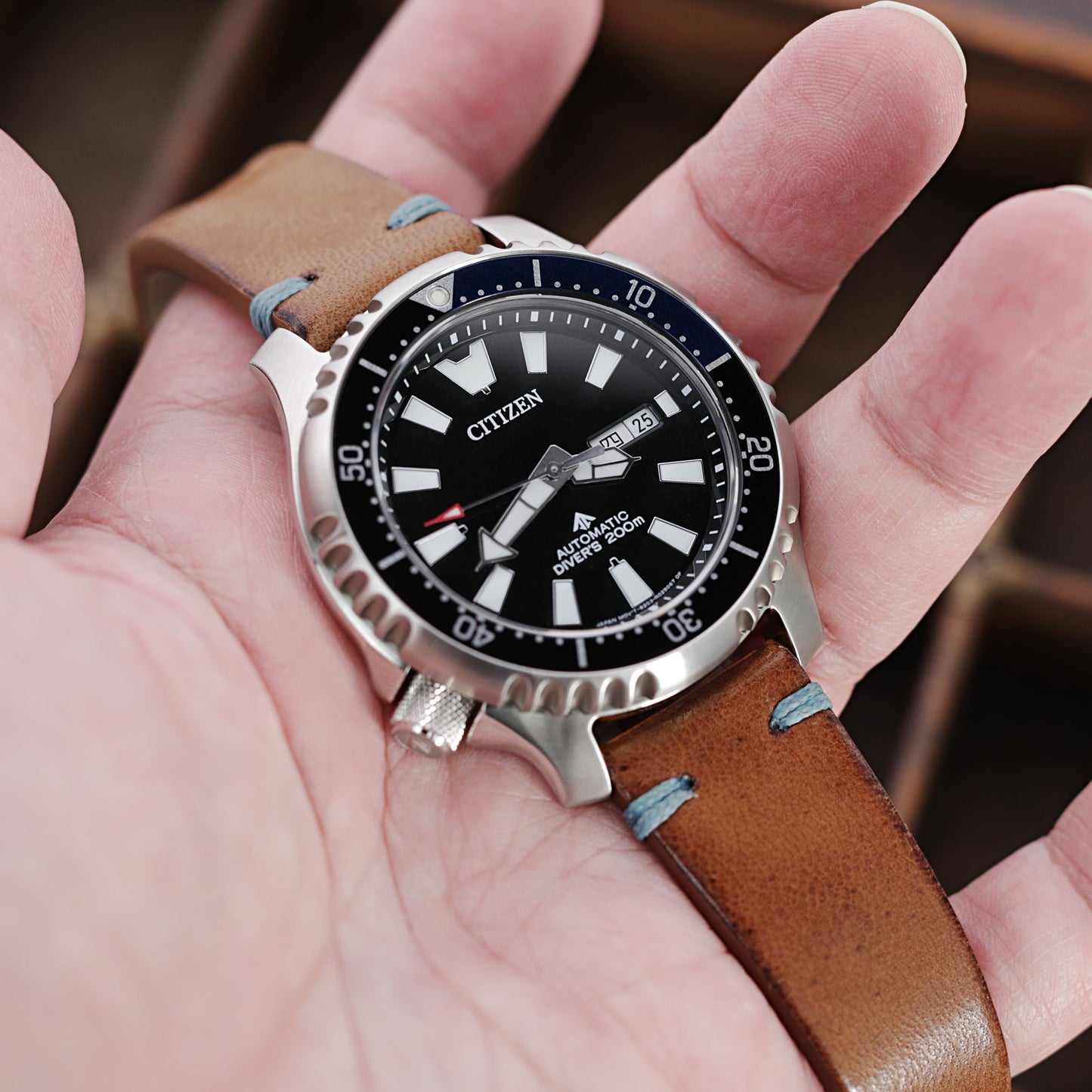Citizen Promaster Fugu Asia Limited Diver's NY0111-11E