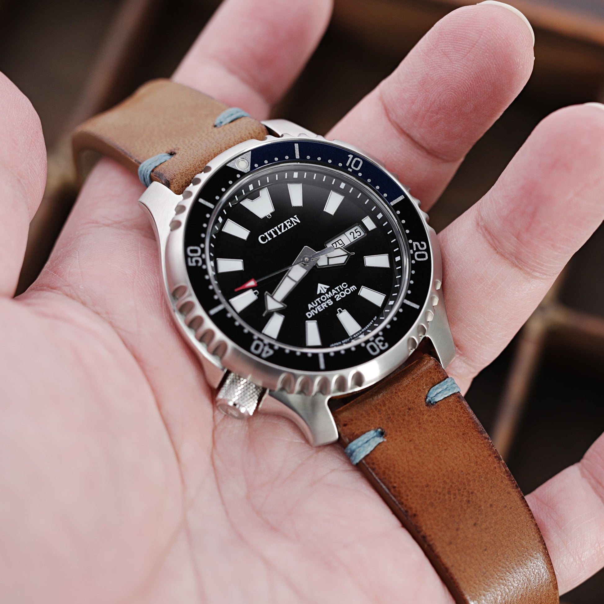 Citizen Promaster Fugu Asia Limited Diver's NY0111-11E