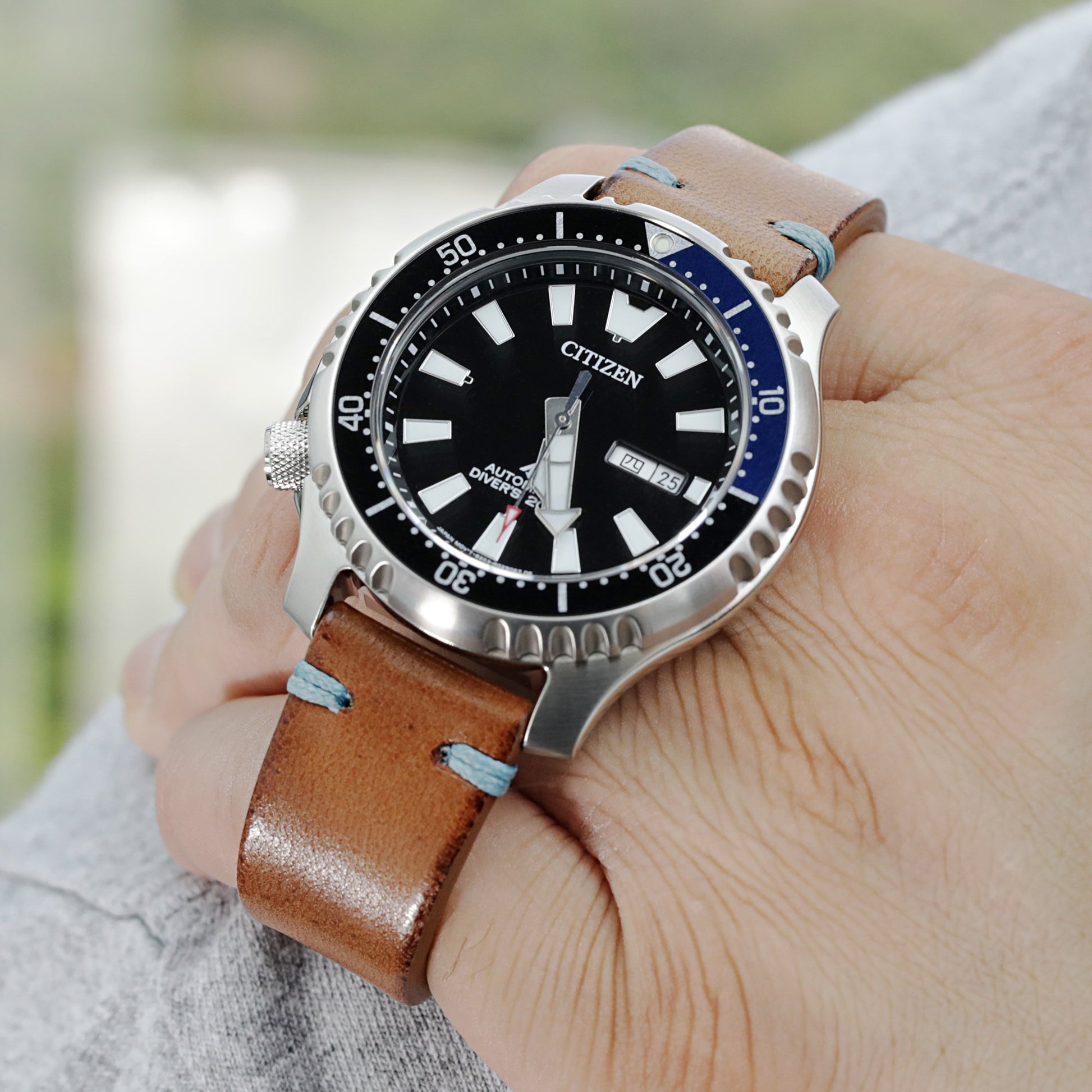 Citizen Promaster Fugu Asia Limited Diver's NY0111-11E