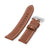 22mm Chestnut Brown Straight Leather Watch Band, Brushed Buckle