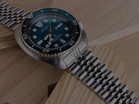 New Turtle Super-J Louis